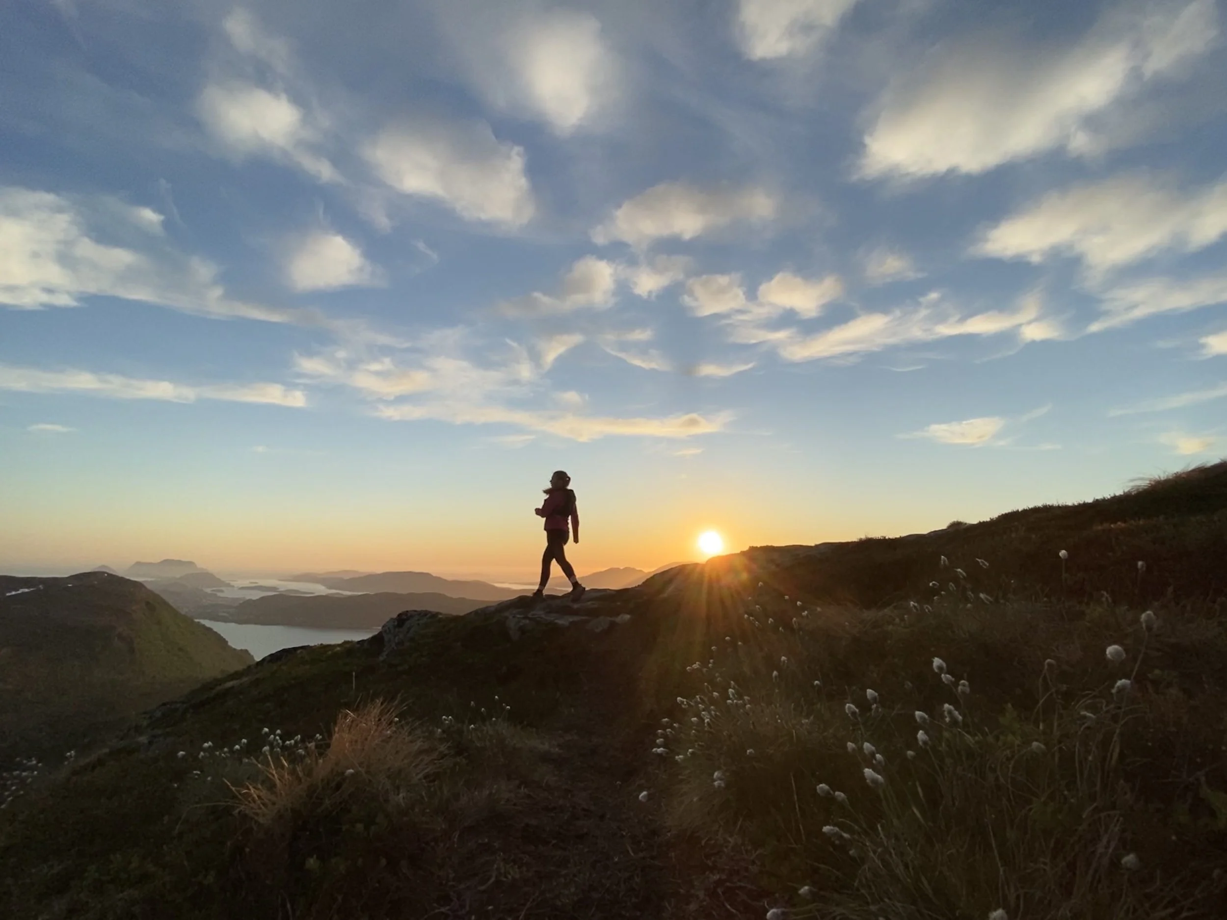 Laptop med blogginnhold